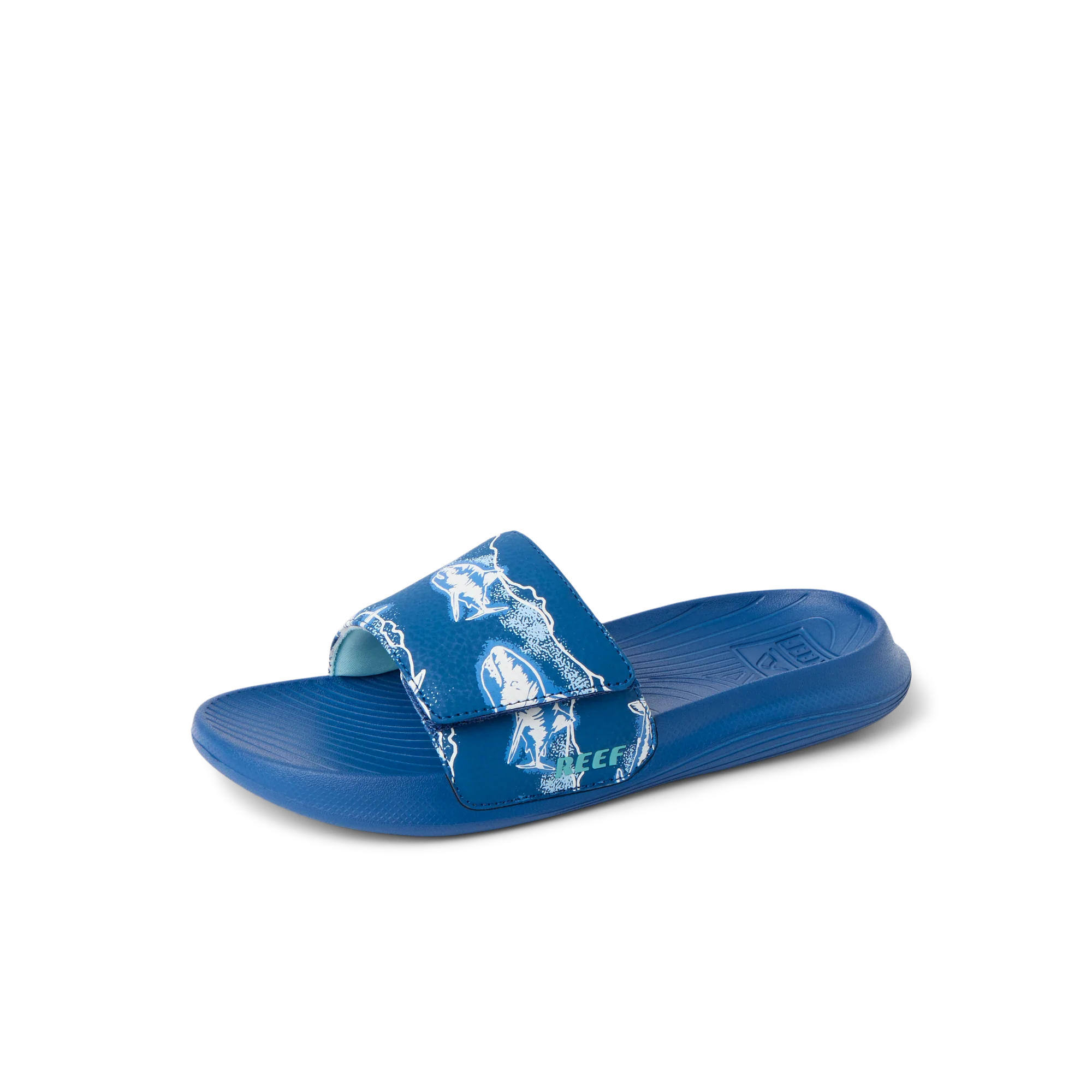 CJ9123_KIDS_SALTY_SLIDE_ROYAL_SHARK_LS.webp