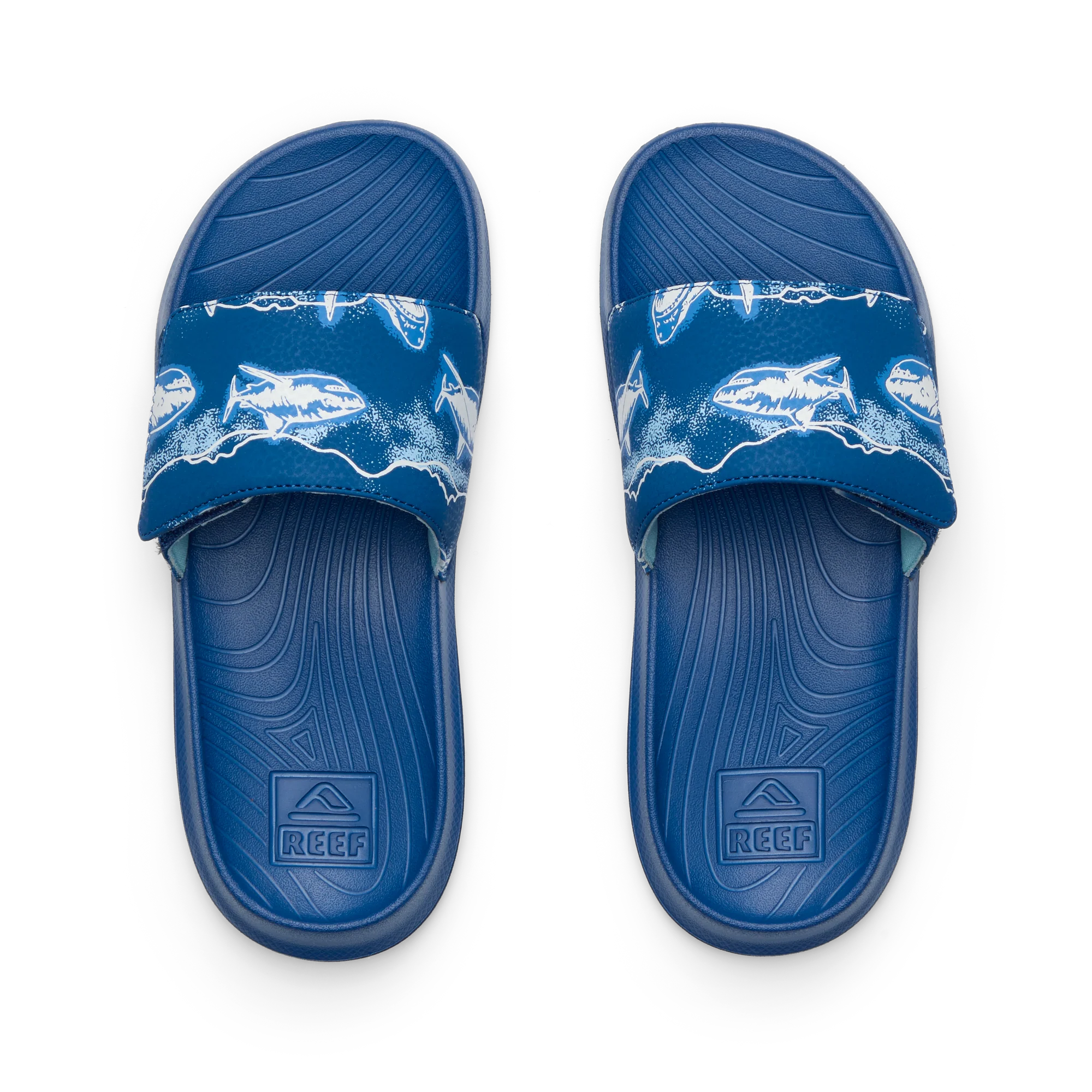 CJ9123_KIDS_SALTY_SLIDE_ROYAL_SHARK_T.webp