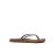 Chocolate Zebra